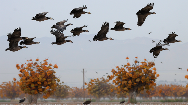 Wildlife Watching along the LA River